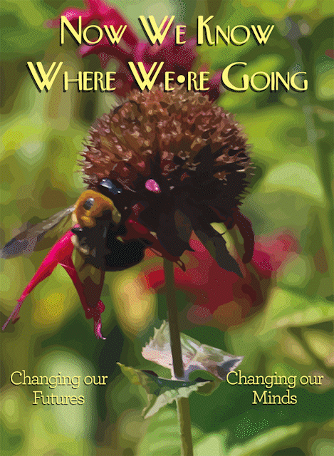 Cover 1